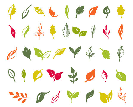 Set of hand drawn leaves, green leaf, sketches and doodles of leaf and plants, green leaves vector collection