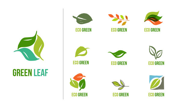 Set of hand drawn leaves logos, green leaf, sketches and doodles of leaf and plants, green leaves vector collection