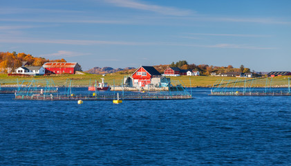 Fototapeta na wymiar Norwegian Sea, fish farm for salmon growing