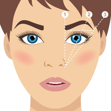 Fototapeta Face and eyebrow mapping. How to shape your eyebrows at home. Trimming. Woman tips. Perfect brow shape for your face. Trendy makeup scheme. 