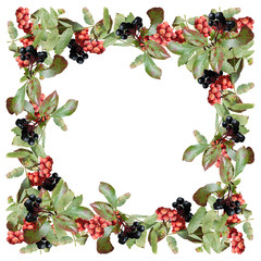 Beautiful autumn background berries aronia and red rowan 