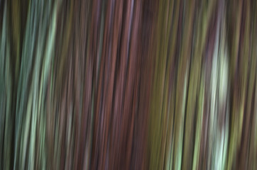 Abstract Green Background