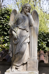 Obraz premium The Angel from the mystery old Prague Cemetery, Czech Republic