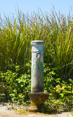 Naklejka premium typical Italian southern Puglia aqueduct fountain in the middle of a cane field