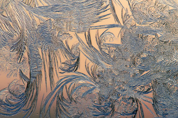 frost on the window draws