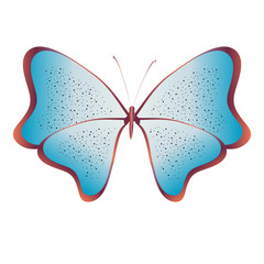 beautiful butterflies, isolated on a white