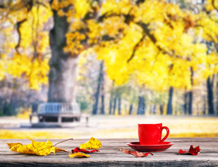 Naklejka na ściany i meble Red cup on wooden table with background of park