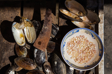 Pearl shell, Bangladesh
