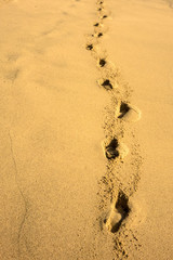 Fußspuren am Strand
