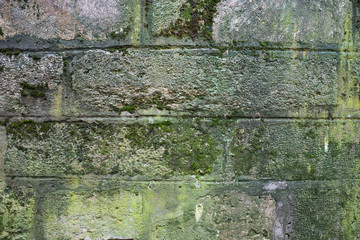 House wall covered with moss