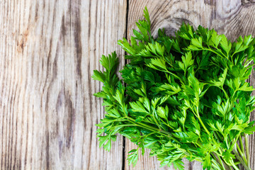 Fresh Green Parsley