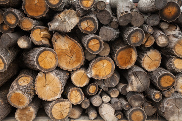 Firewood