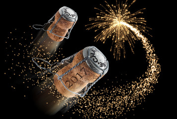 2 Champagnerkorken mit Feuerwerk