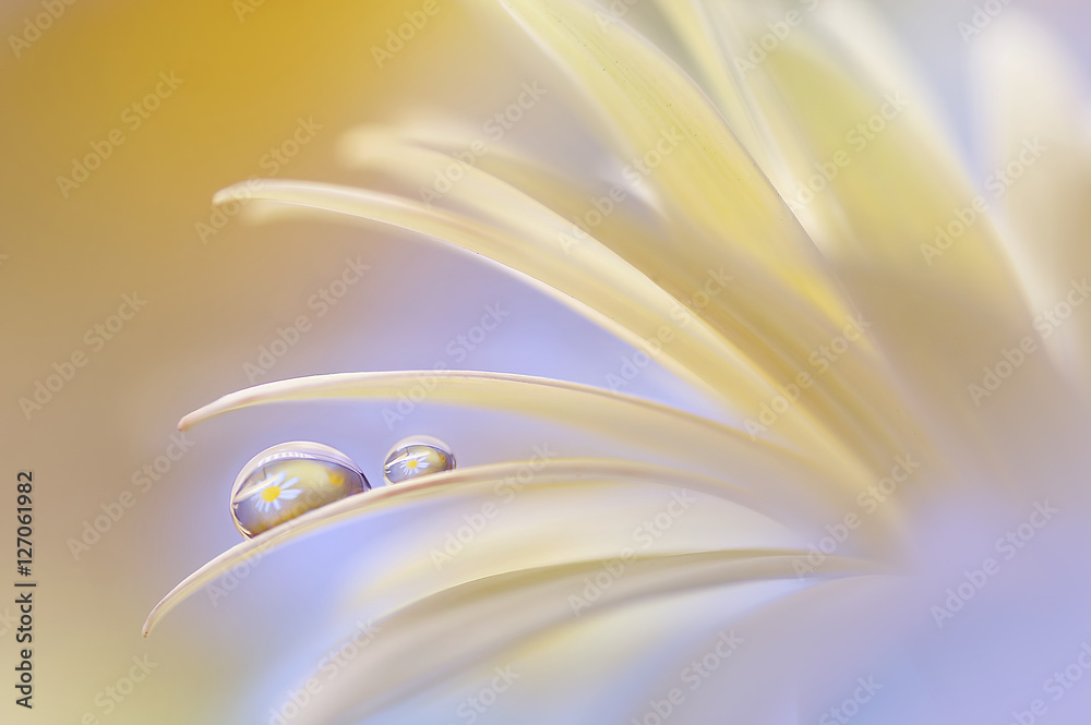 Poster reflection of the flower in the dew drop. a drop of water on the petal of a yellow flower close-up m