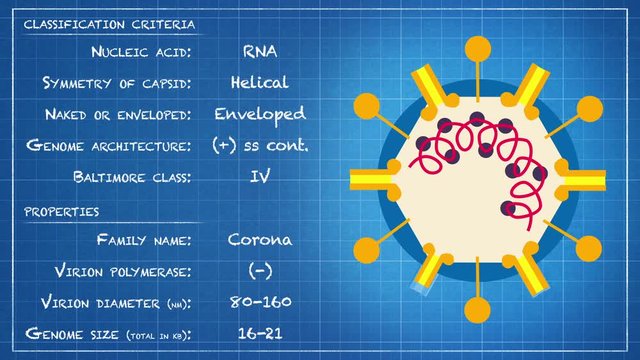 Coronaviridae - Virus classification criteria and properties