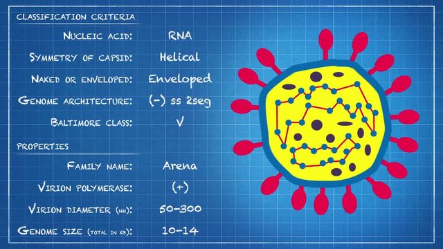 Arenaviridae - Virus classification criteria and properties