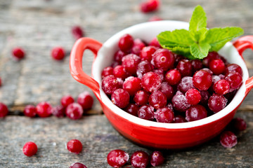 The fresh frozen useful cranberry
