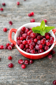 The fresh frozen useful cranberry
