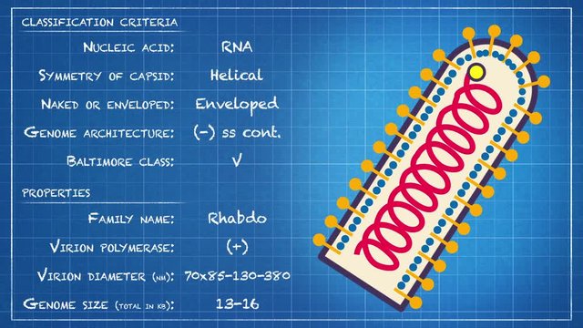 Rhabdoviridae - Virus classification criteria and properties