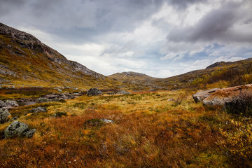 Nature in Norway, Senja island