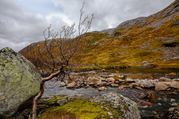 Nature in Norway, Senja island