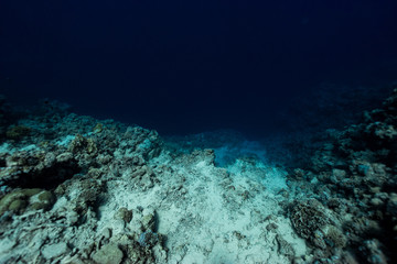 Dahab blue hole abyss