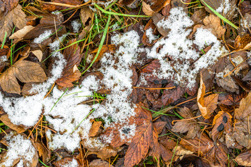 Thaws of snow on fallen leaves, autumn or beginning of winter