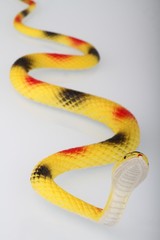 Naklejka premium serpente giocattolo in gomma