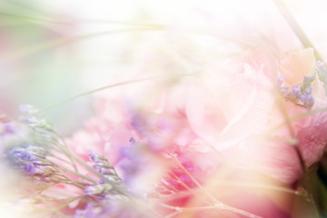 flower background. beautiful flowers made with color filters

