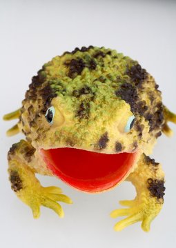 rospo giocattolo