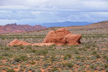Nevada Sightseeing