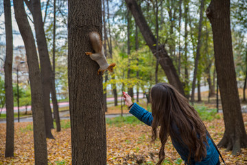 Girl is trying to feed a squirrel in the forest