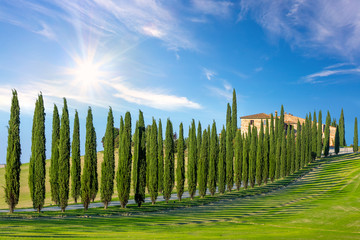 Fototapeta na wymiar Sunny landscape background of Tuscany countryside