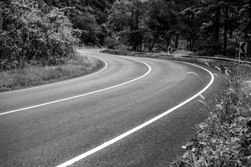 Black-white photo of asphalt road in rainforest.