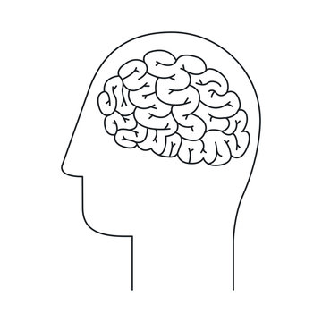 Brain and head draw icon. Big idea creativity imagination and inspiration theme. Isolated design. Vector illustration