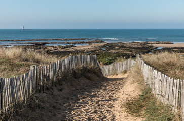 Fototapeta na wymiar Chemin dans les dunes vers la plage de la Paracou (Les Sables d'Olonne)