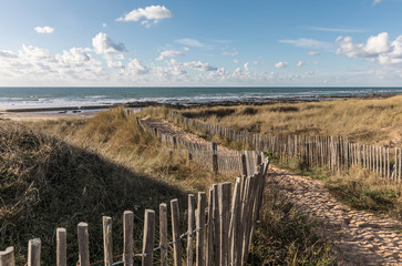 Chemin dans les dunes vers la plage de la Paracou (Les Sables d'Olonne)