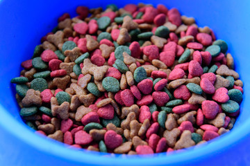 Dried dog food in a bowl