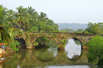 Fototapeta na wymiar Old abandoned stone arch road bridge with plant growth over a rivulet in Goa, India