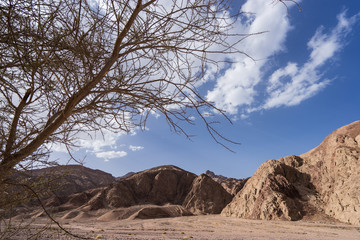 desert landscape