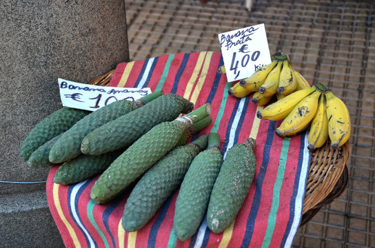Frutto di filodendro e bananito