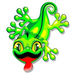 Gecko Lizard Baby Cartoon 