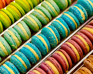 multicolored french macaroon