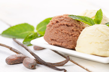 Cocoa and vanilla ice cream scoop