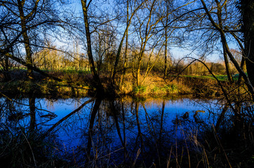 lake river beautiful water scenery worcestershire uk