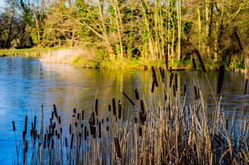 lake river beautiful water scenery worcestershire uk