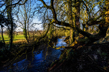 lake river beautiful water scenery worcestershire uk