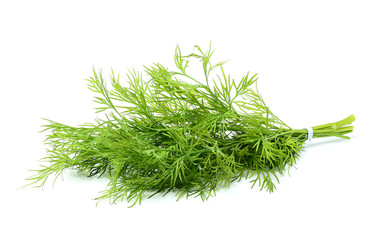 Fresh dill isolated.