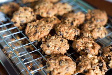 Fresh cookies on a tray rack,cookie close-up shot