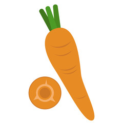 Carrot with half cut vector illustrations.. Sliced carrots. Pieces of carrots